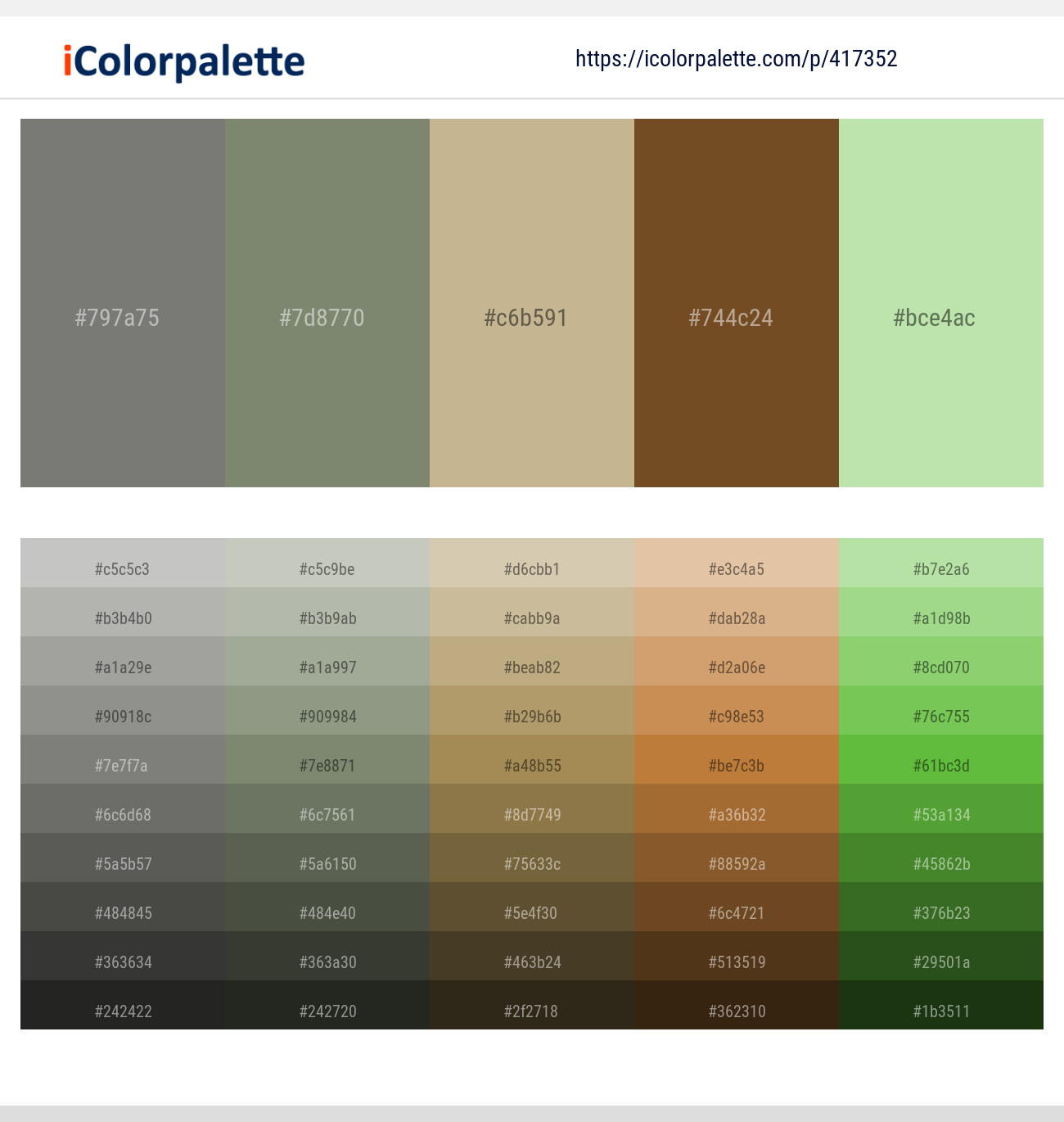 Friar Gray – Camouflage Green – Indian Khaki – Dallas – Celadon Color scheme