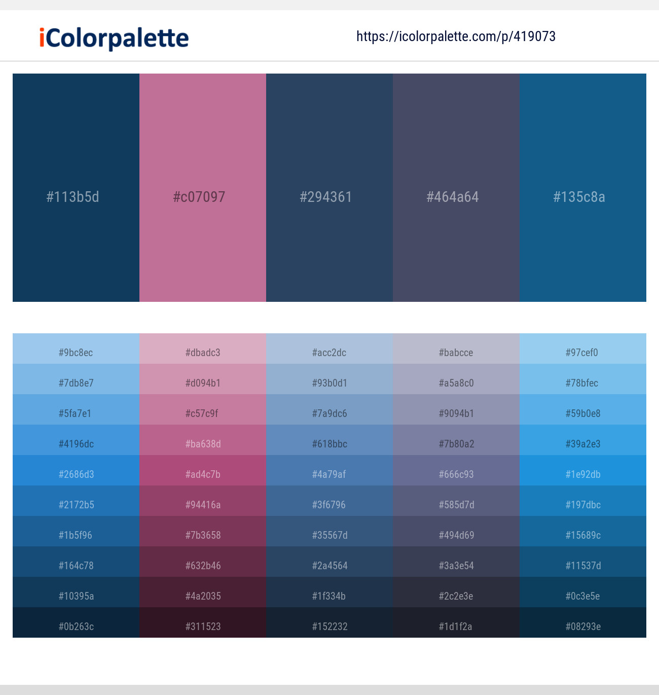 Blue Zodiac – Puce – Rhino – Gun Powder – Chathams Blue Color scheme