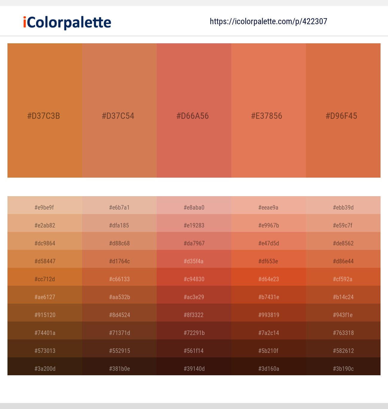 20+ Best Terracotta Color Palettes with Names and Hex Codes –  CreativeBooster