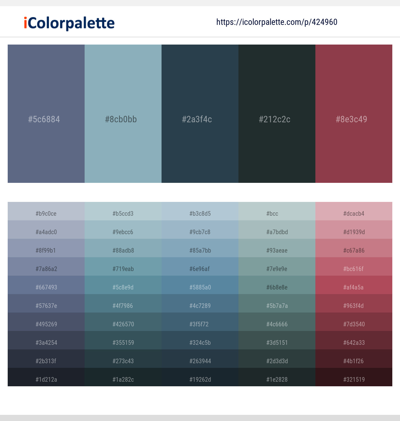 Comet – Nepal – Pickled Bluewood – Outer Space – Solid Pink Color scheme