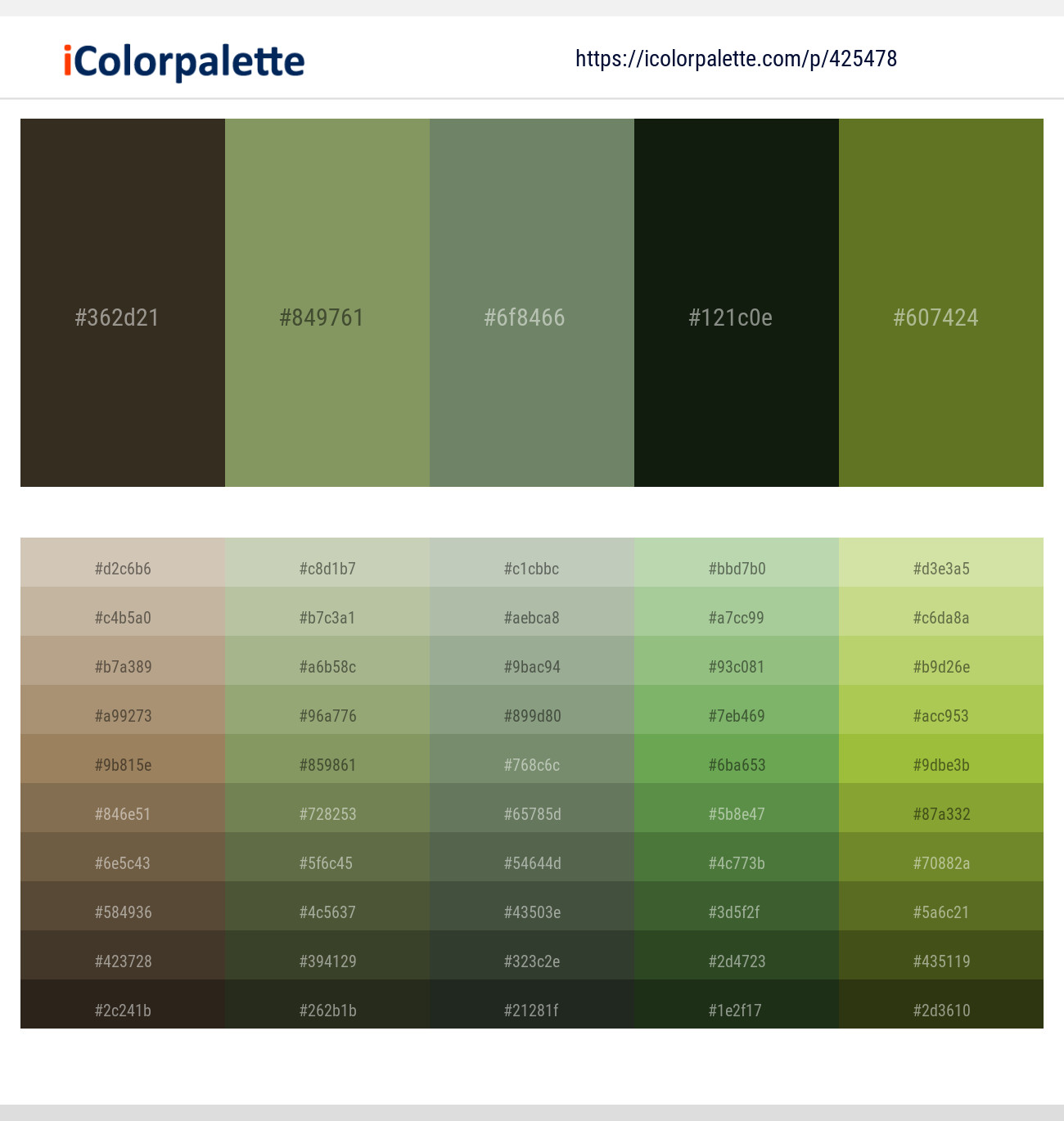 Birch – Avocado – Camouflage Green – Hunter Green – Fern Frond Color scheme