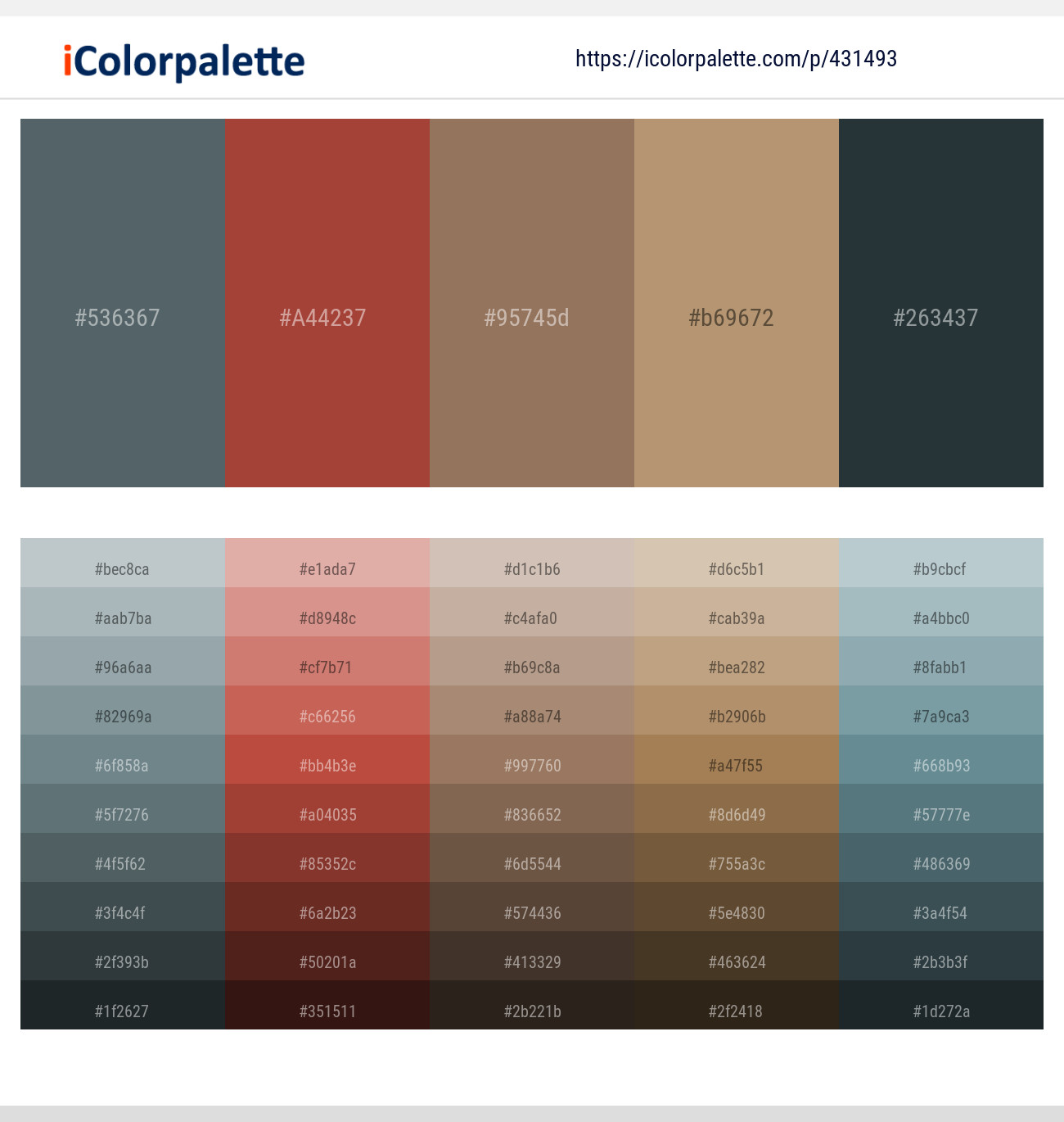 Shuttle Gray – Medium Carmine – Beaver – Teak – Outer Space Color scheme