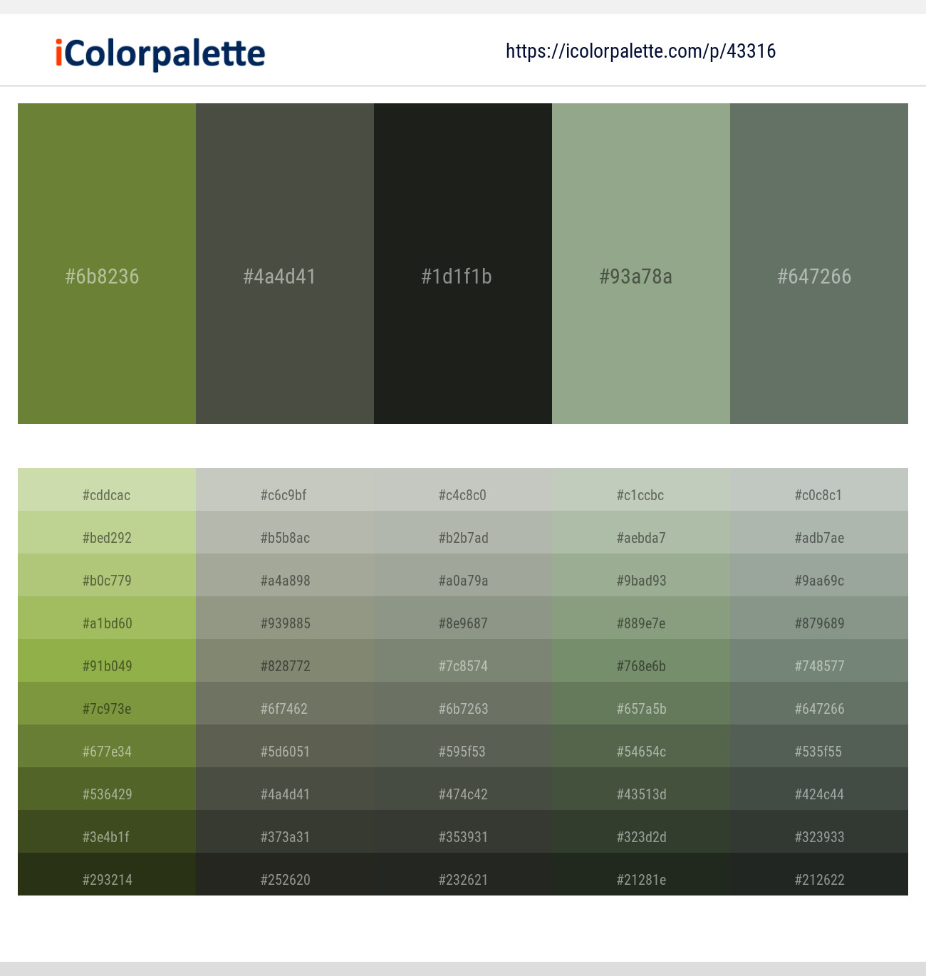 Pesto – Kelp – Heavy Metal – Sage – Corduroy Color scheme