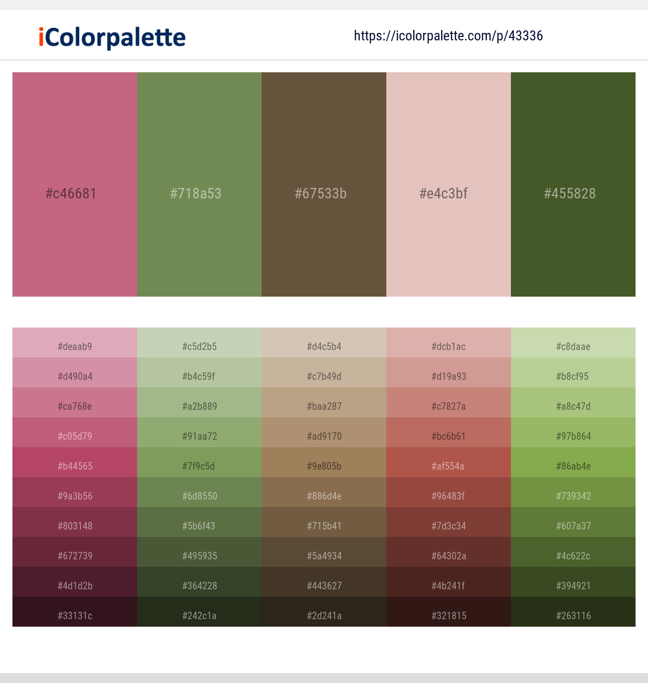 Contessa – Asparagus – Millbrook – Cavern Pink – Woodland Color scheme