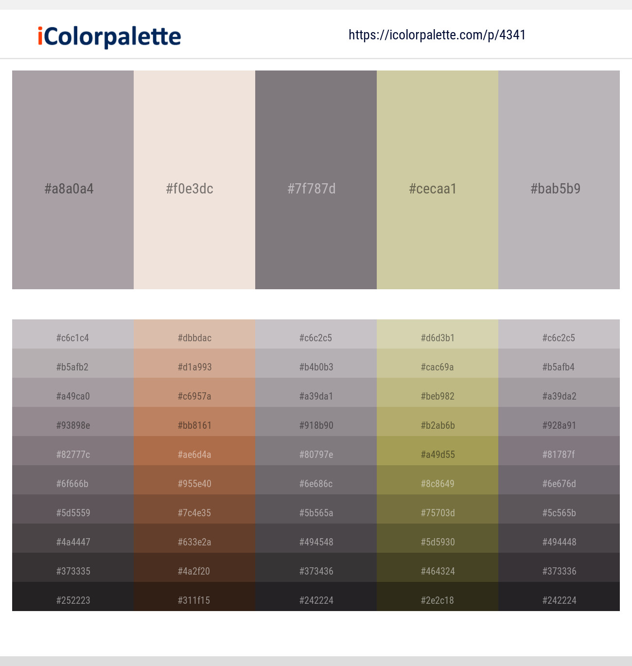 Shady Lady – Bizarre – Suva Gray – Chino – Pale Slate Color scheme