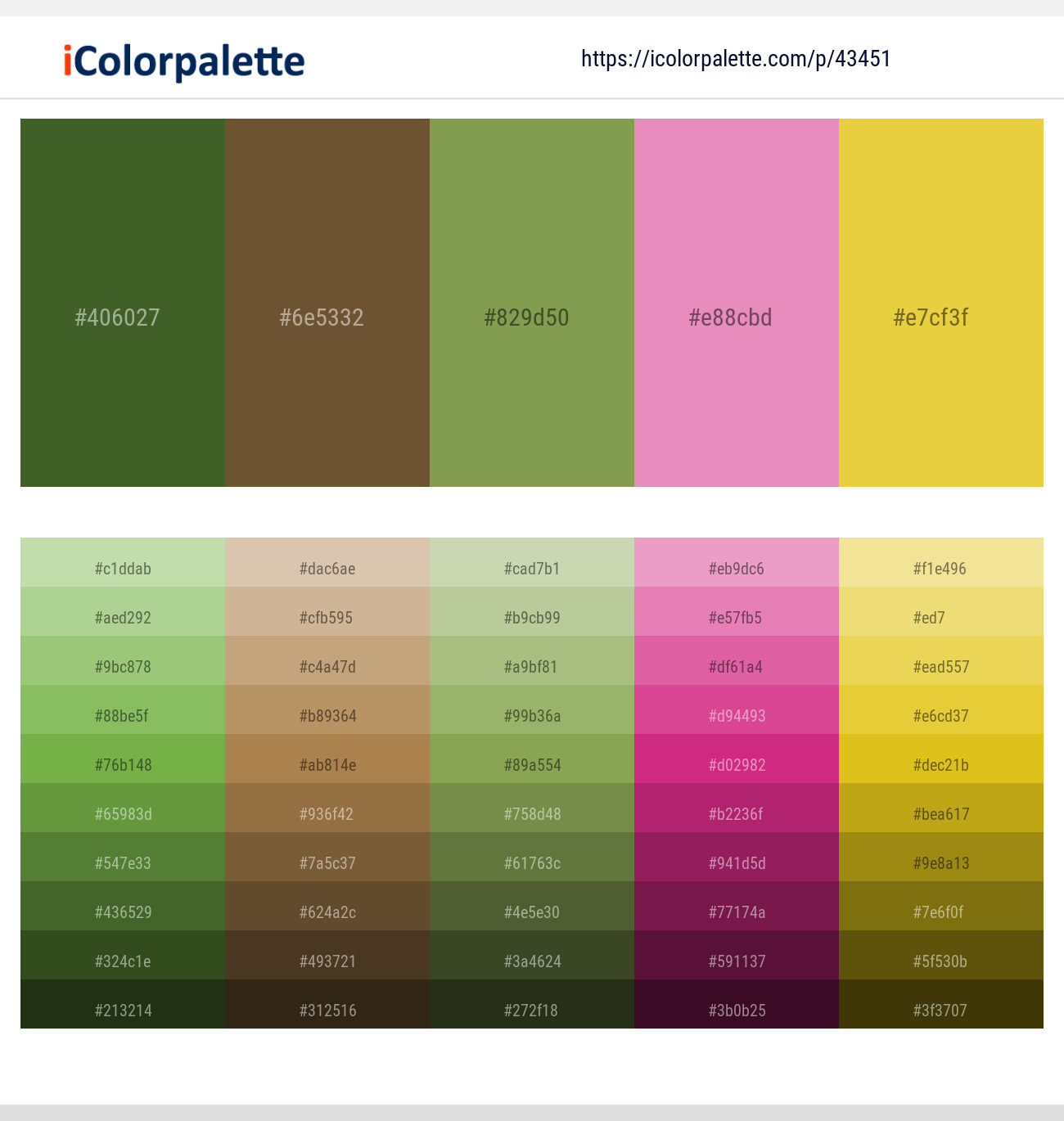 Woodland – Shingle Fawn – Asparagus – Carissma – Ronchi Color scheme