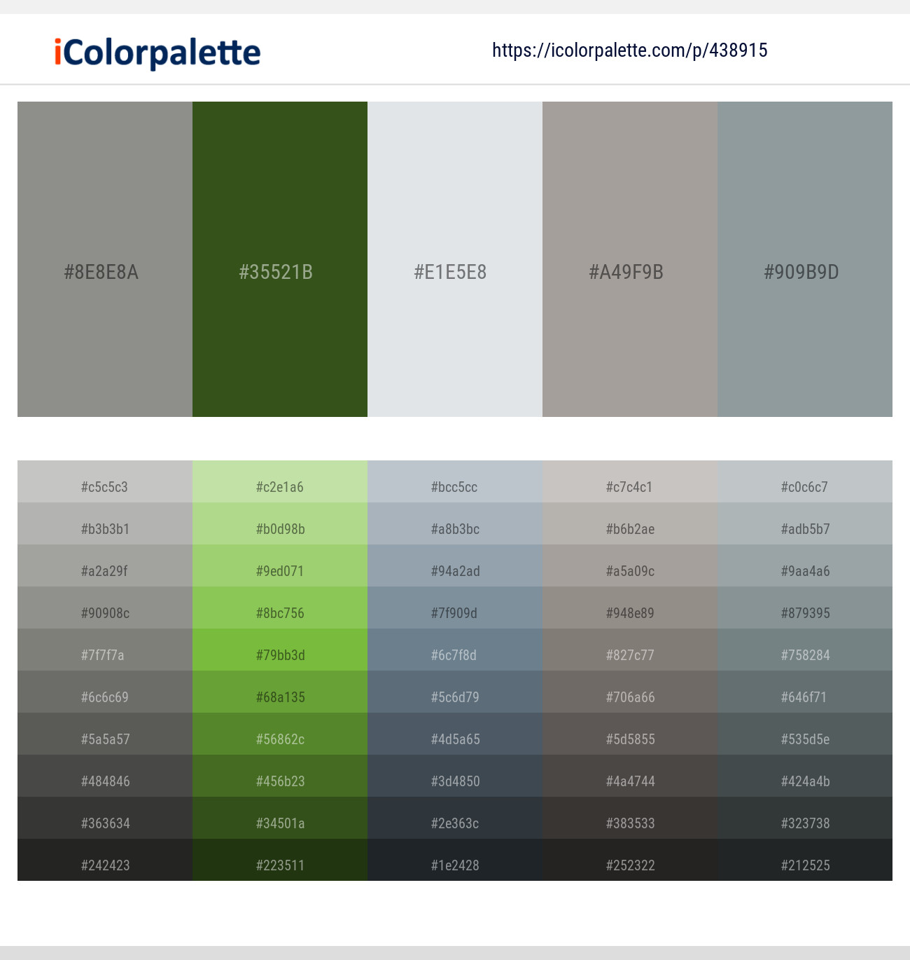 Natural Gray – Thatch Green – Porcelain – Dawn – Regent Gray Color scheme