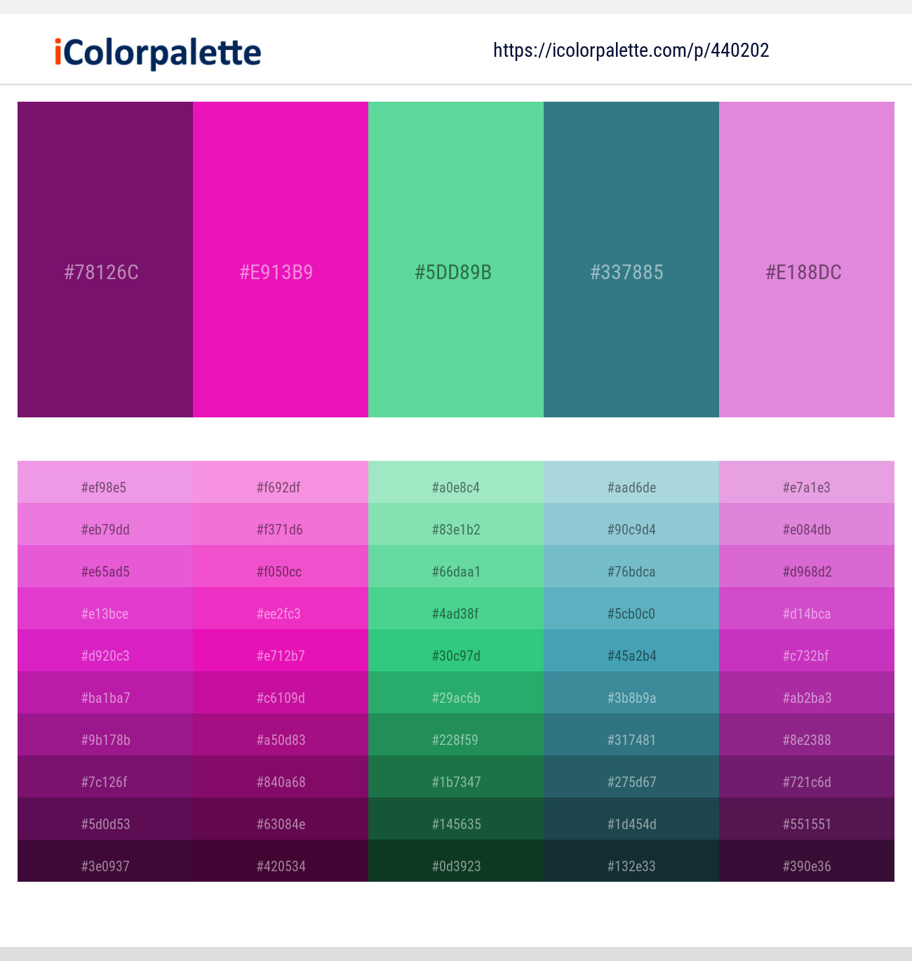 Disco – Shocking Pink – Emerald – Paradiso – Orchid Color scheme