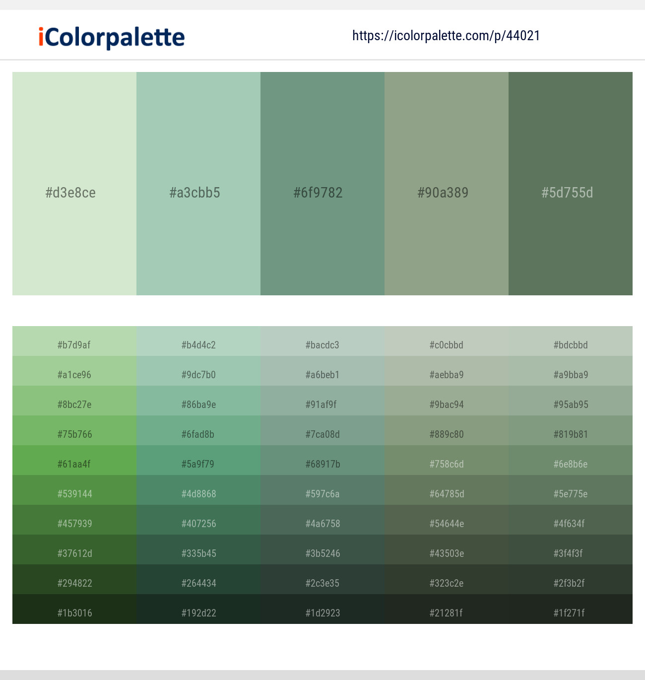 1+ Spring Rain And Oxley Color Palettes & Gradient Ideas | iColorPalette