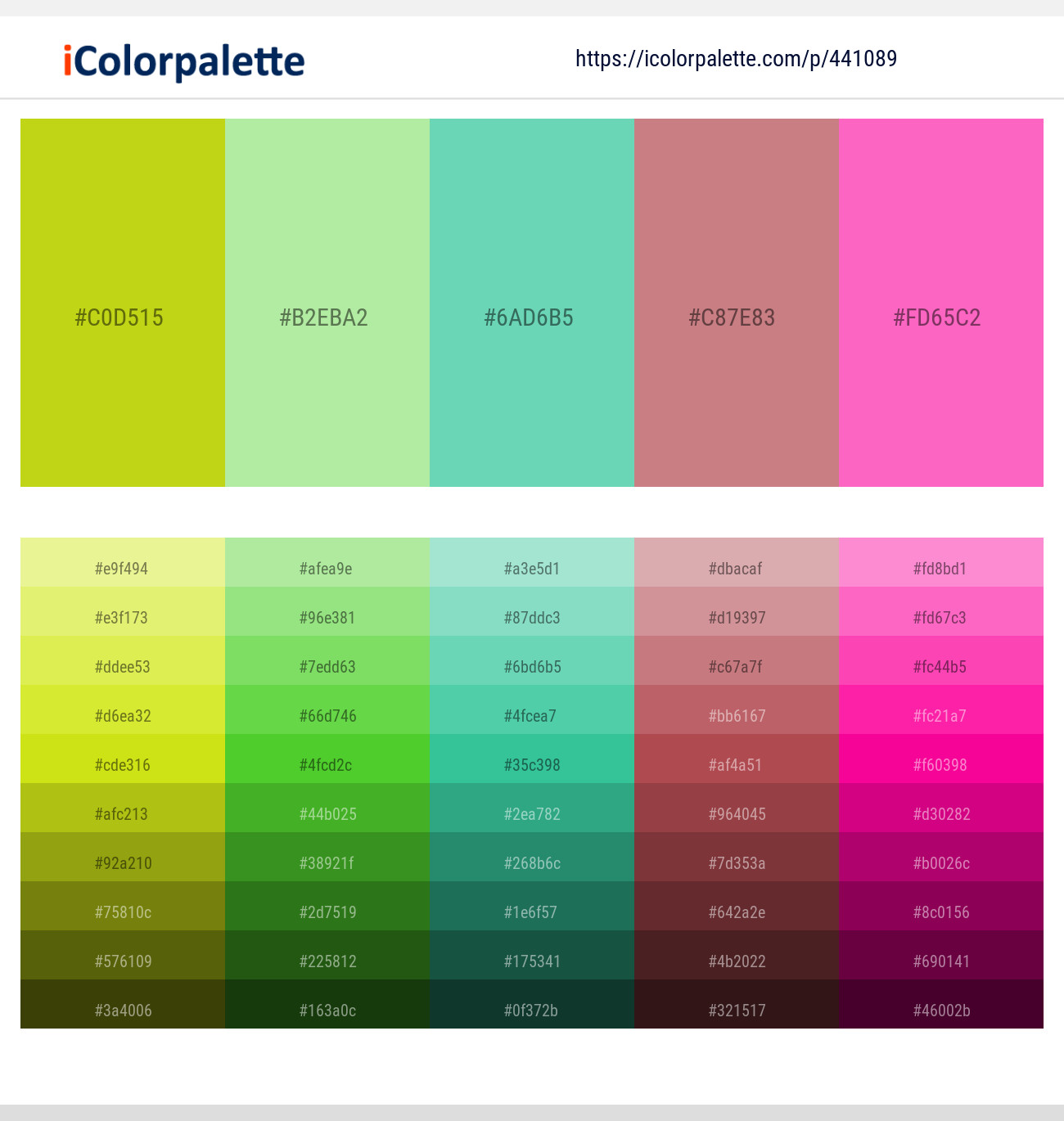Bird Flower – Madang – Downy – Old Rose – Hot Pink Color scheme