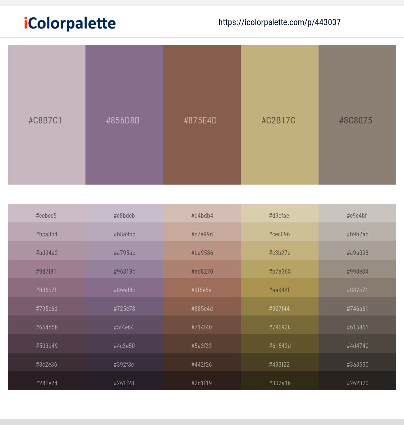 Lily – Rum – Roman Coffee – Gimblet – Squirrel Color scheme