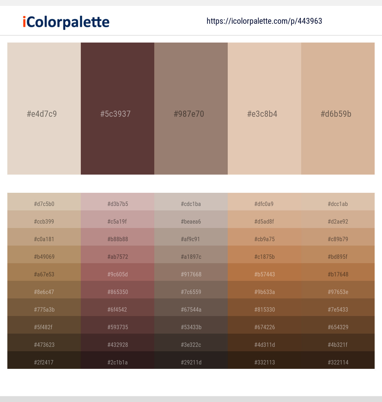 Pearl Bush – Congo Brown – Almond Frost – Grain Brown – Cameo Color scheme
