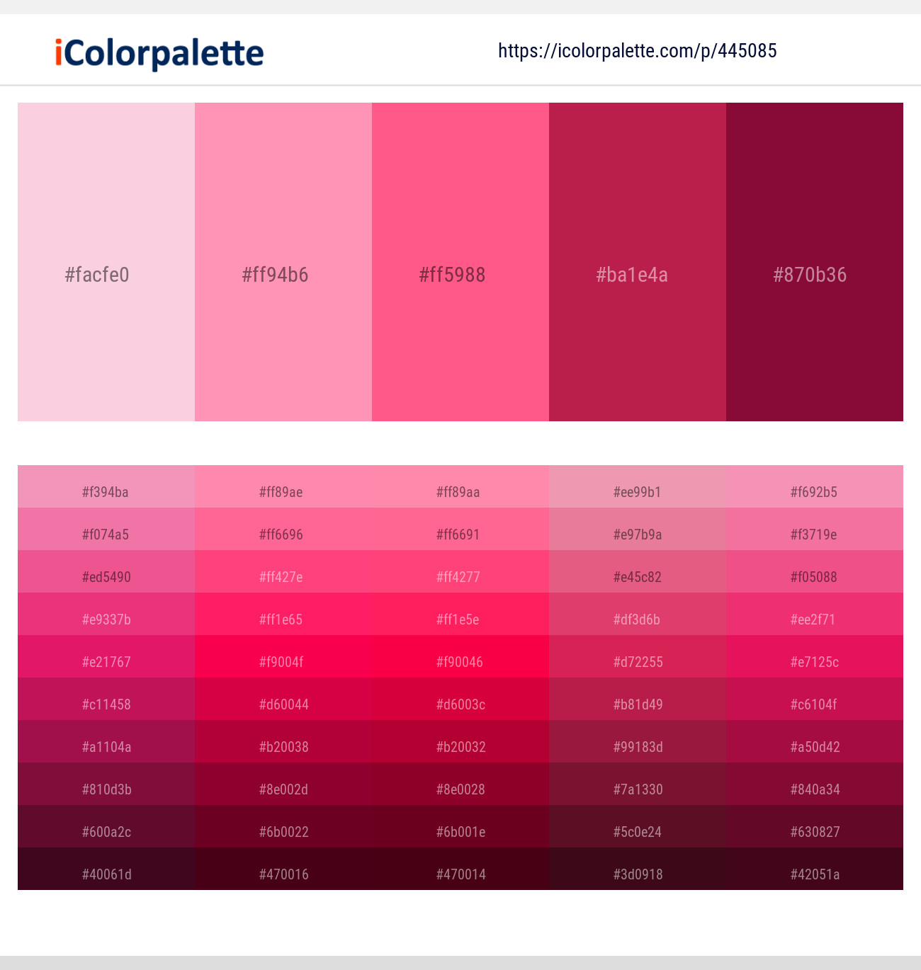 22 Latest Color Schemes with Pink And Dark Red Color tone combinations | |