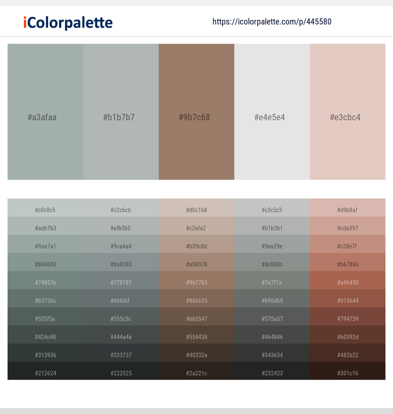 Edward – Edward – Toast – Gray Nurse – Dust Storm Color scheme