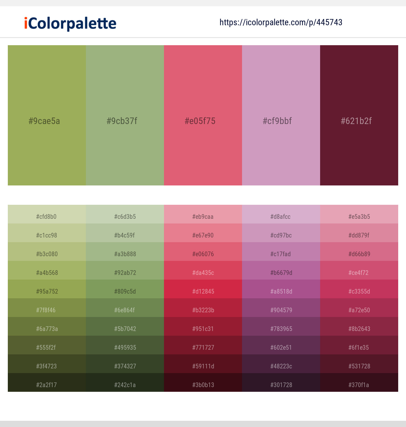 Olive Green – Swamp Green – Sunglo – Viola – Wine Berry Color scheme