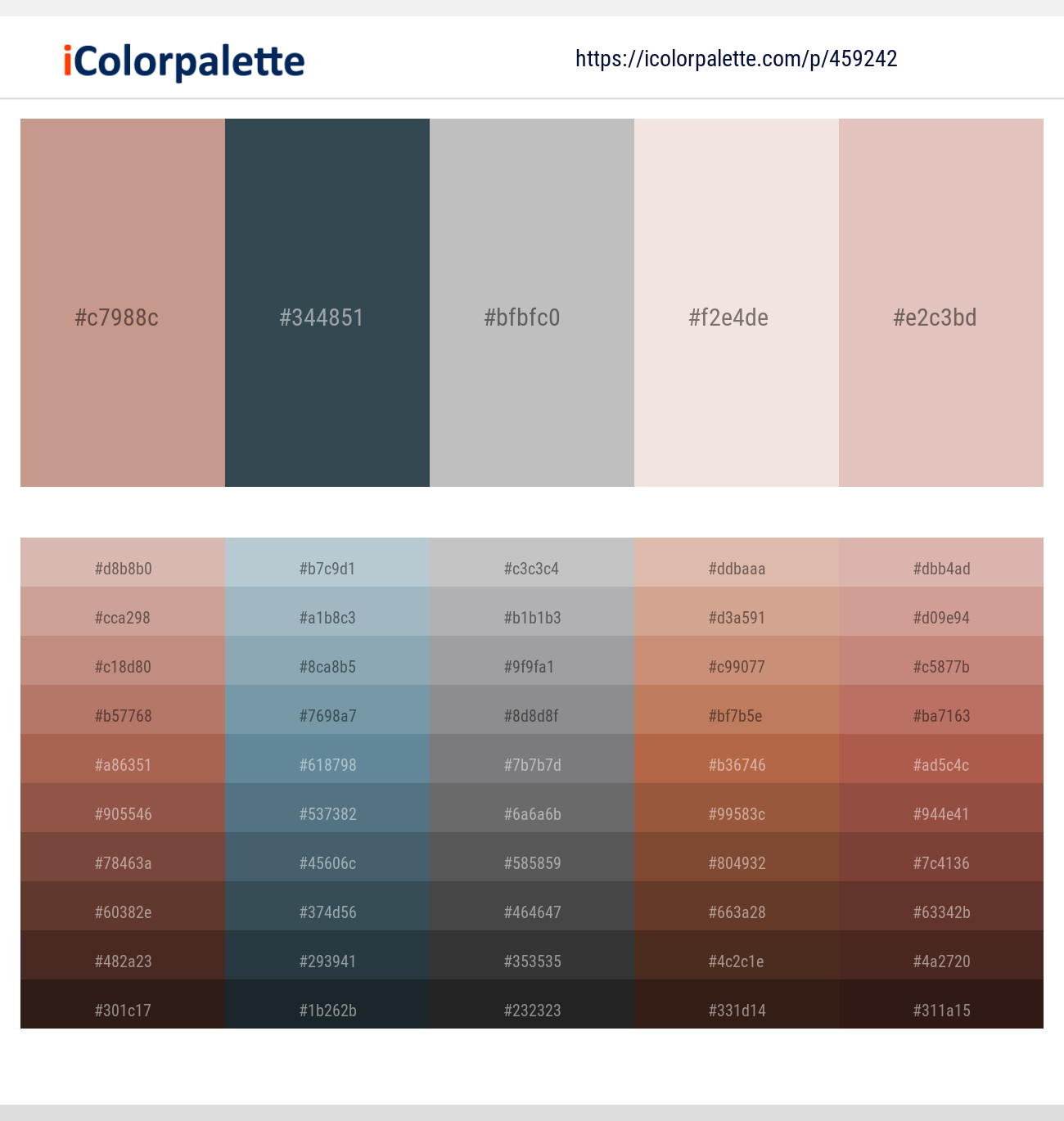 Oriental Pink – Oxford Blue – French Gray – Pot Pourri – Cavern Pink Color scheme