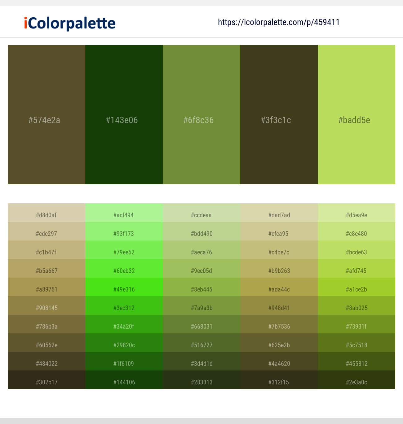 Costa Del Sol – Dark Fern – Pesto – Thatch Green – Conifer Color scheme