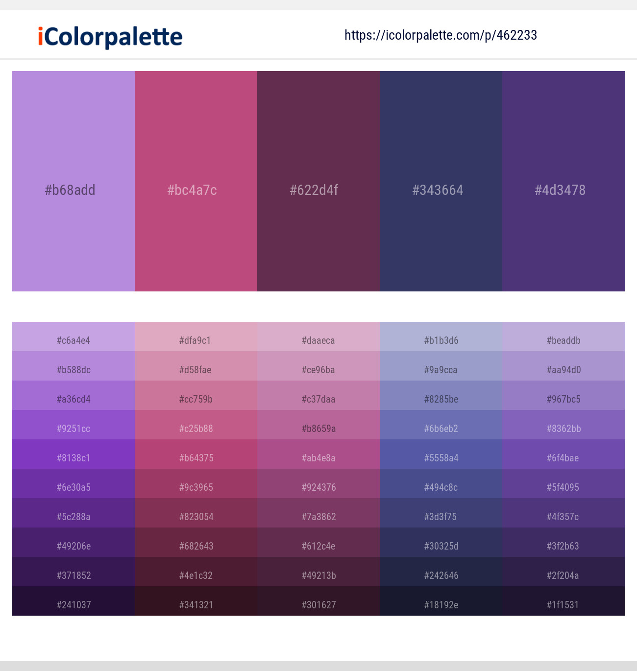 462233 Color Palette 
