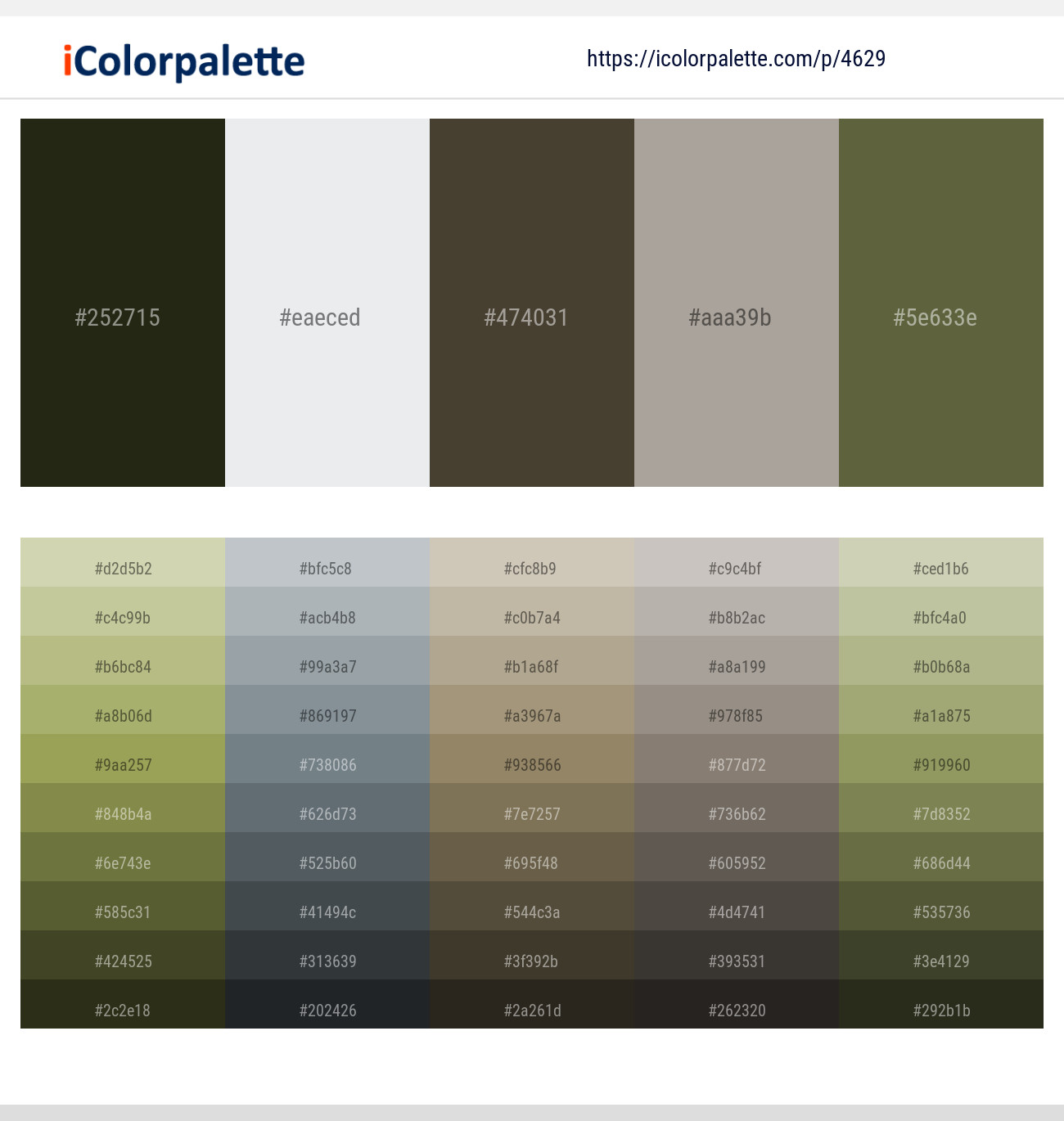 Black Olive – Porcelain – Taupe – Cloudy – Hemlock Color scheme