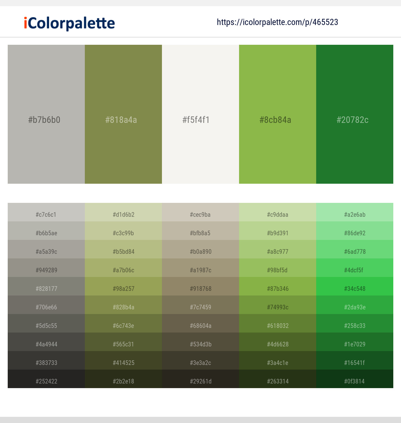 Cotton Seed – Shadow – Pampas – Sushi – Forest Green Color scheme