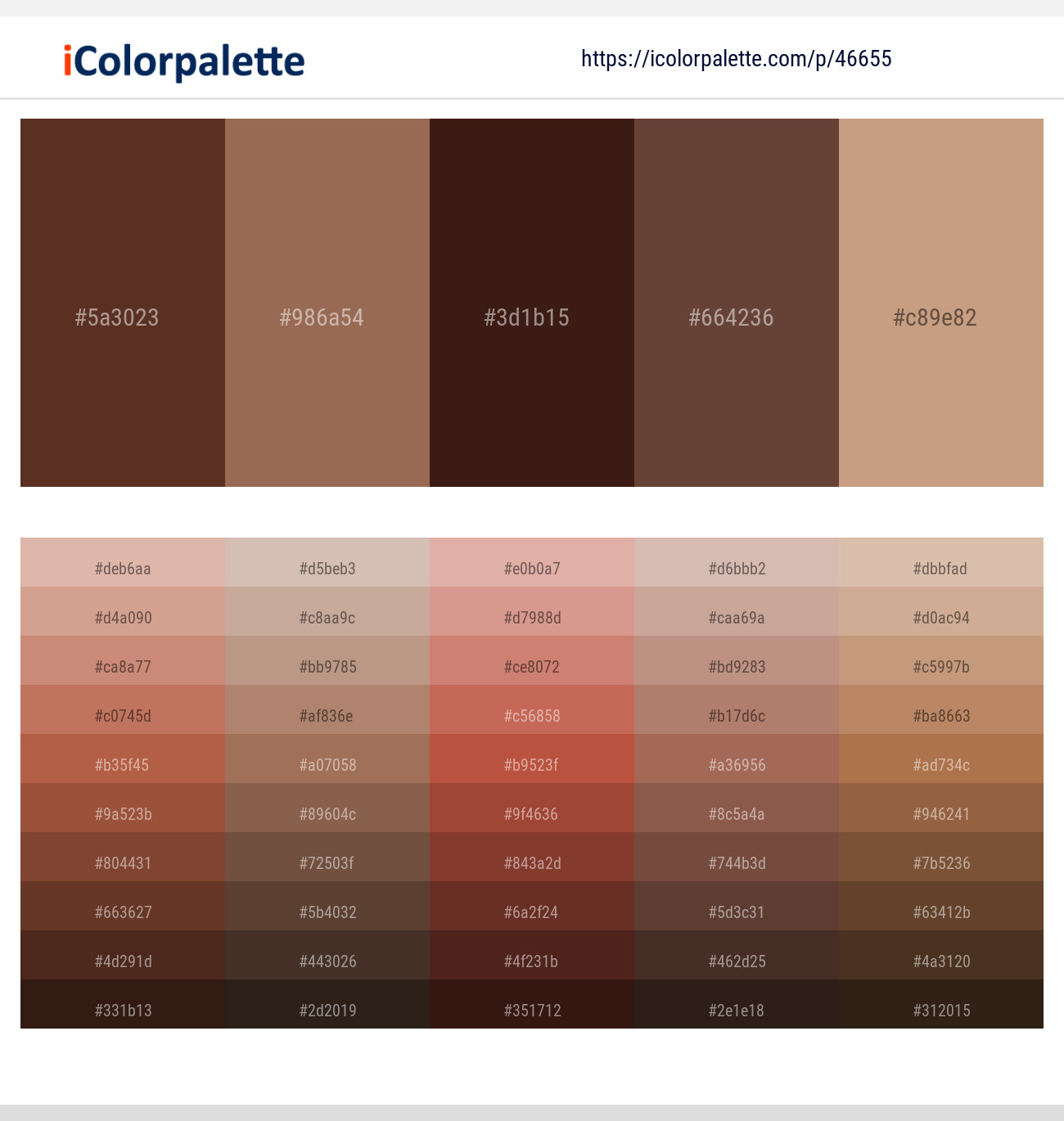 Irish Coffee – Leather – Cedar – Millbrook – Tan Color scheme