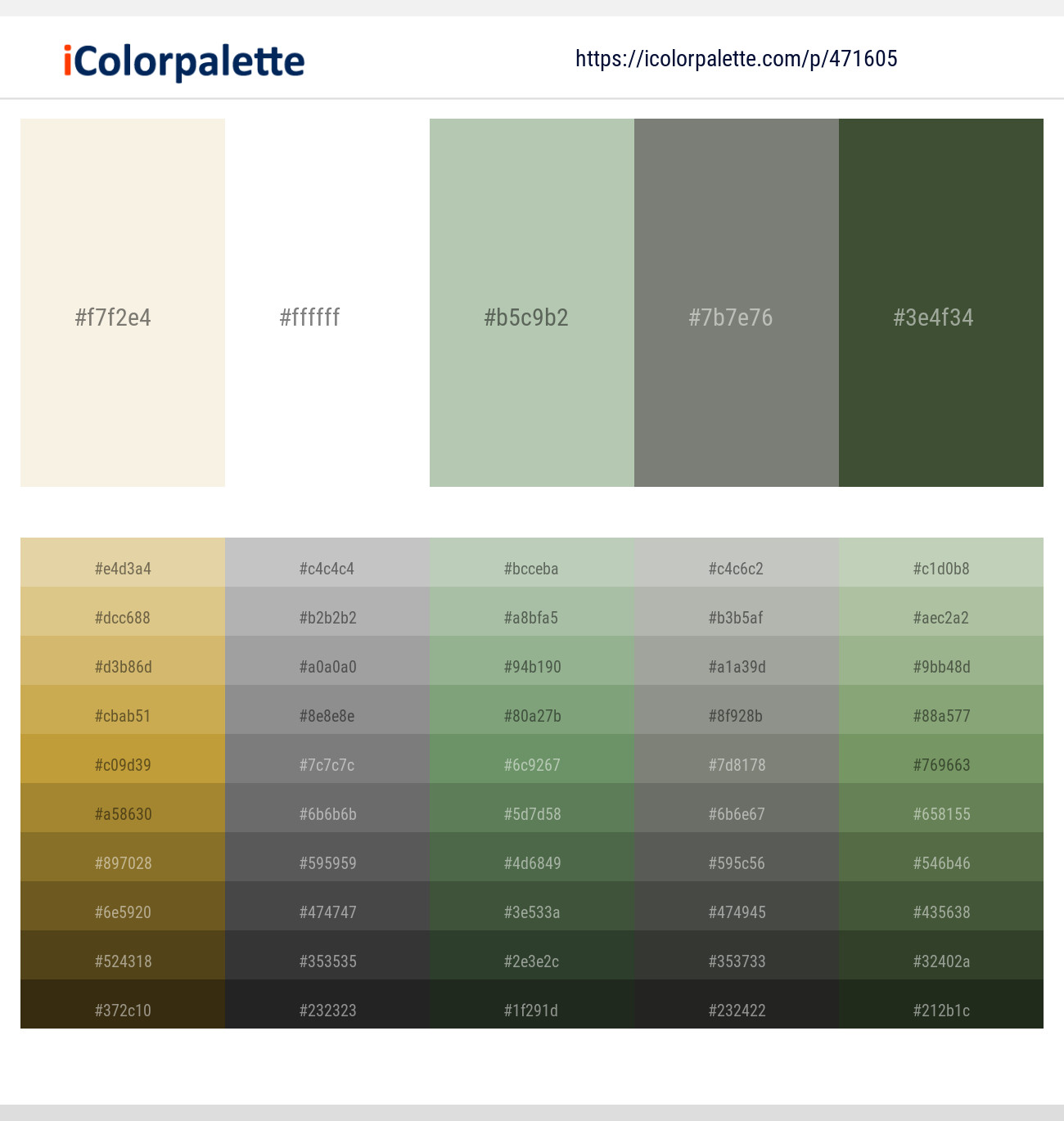 471605Quarter Spanish White – White – Clay Ash – Bitter – Tom Thumb Color scheme
