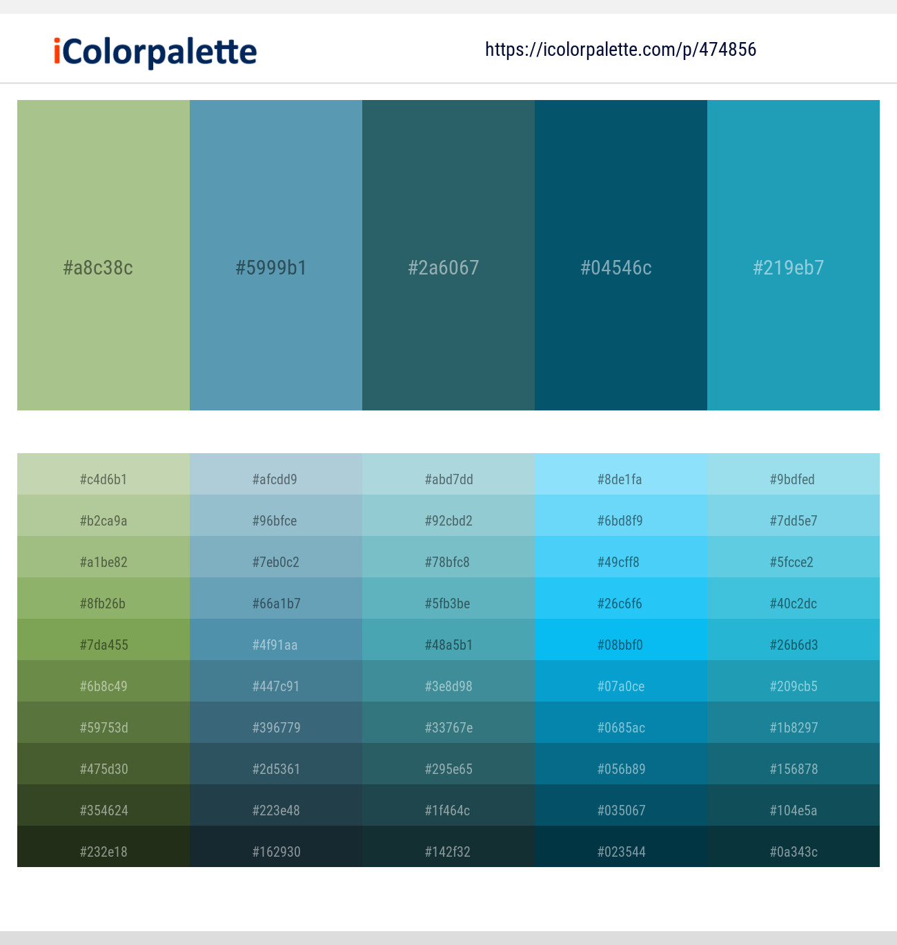 Swamp Green – Hippie Blue – Casal – Mosque – Eastern Blue Color scheme