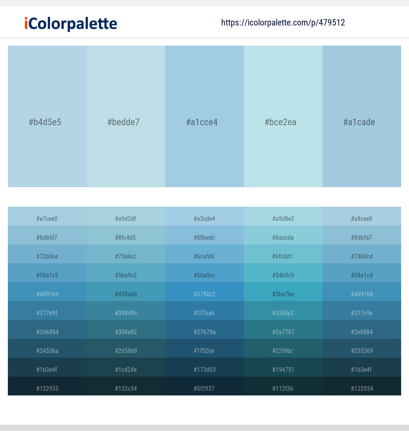 Brand Color Palette - Powder Blue