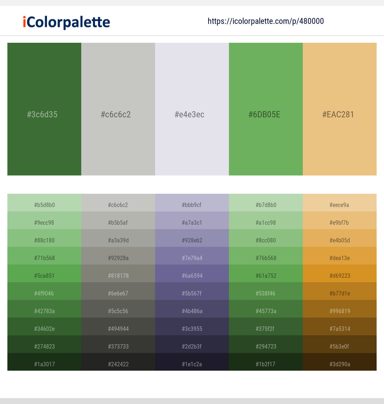 Killarney – Gray Nickel – Athens Gray – Fern – Rob Roy Color scheme