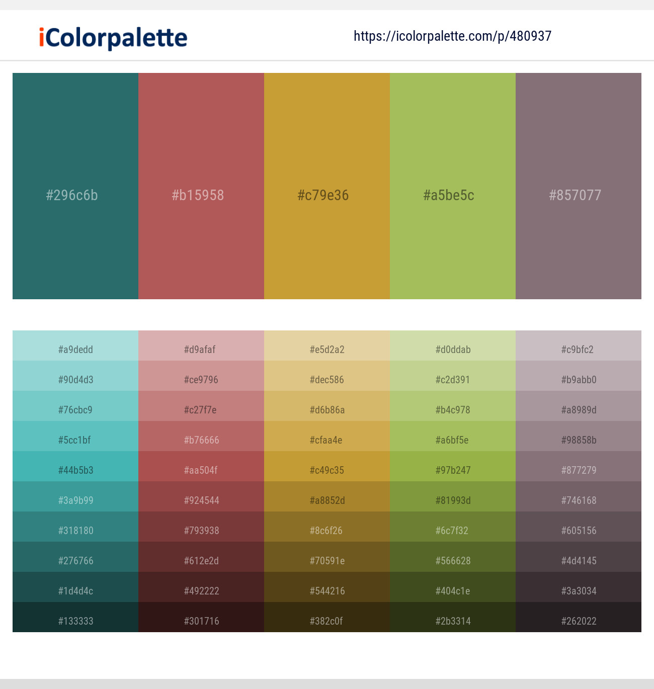 Casal – Matrix – Old Gold – Celery – Empress Color scheme