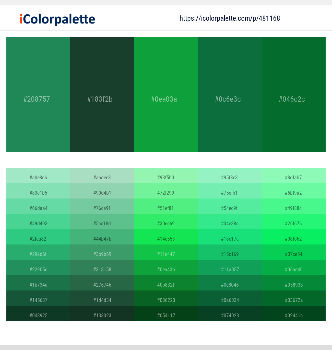 Eucalyptus – Everglade – Salem – Jewel – Fun Green Color scheme ...