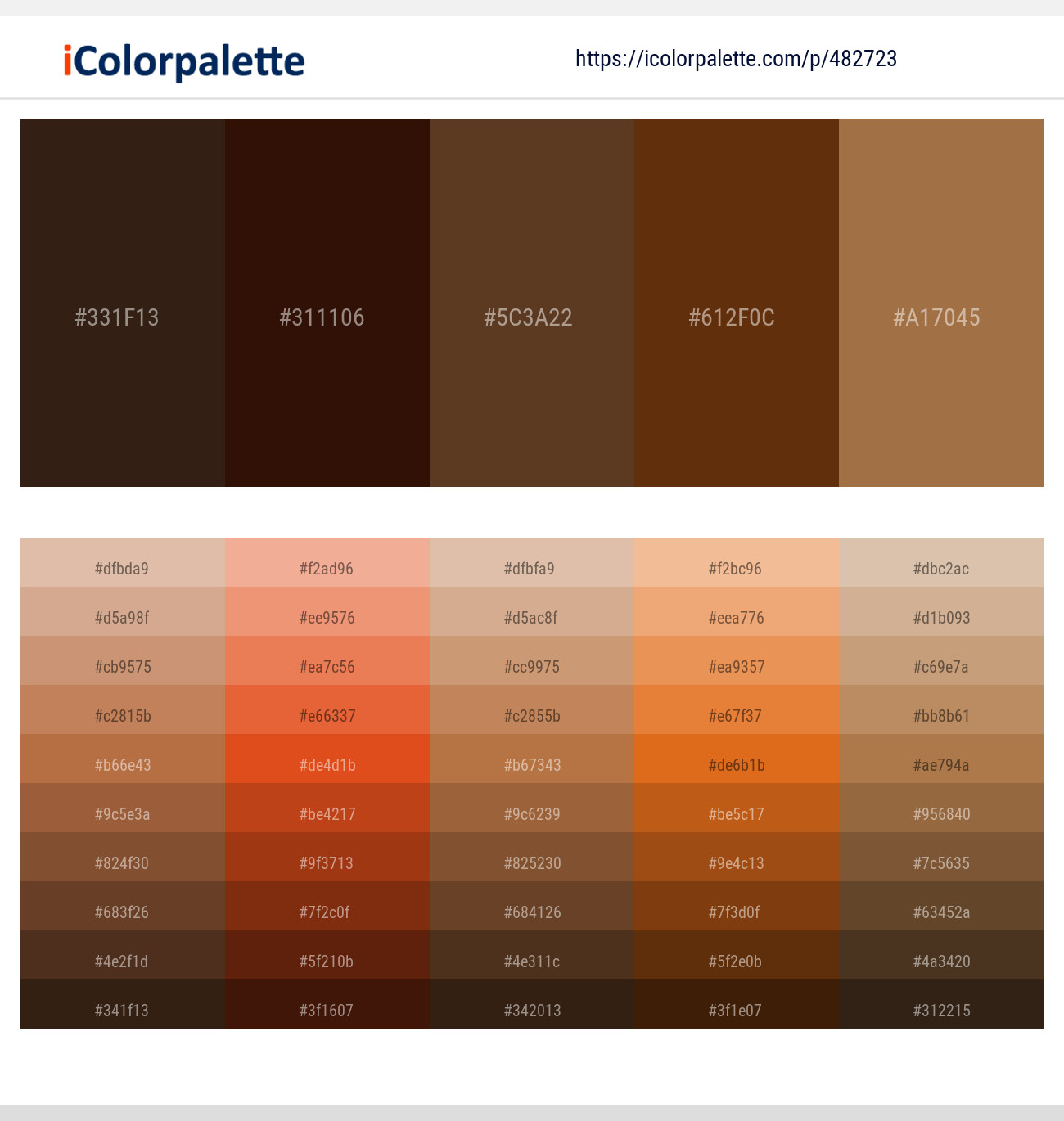 Mikado – Wood Bark – Irish Coffee – Cioccolato – Cape Palliser Color scheme