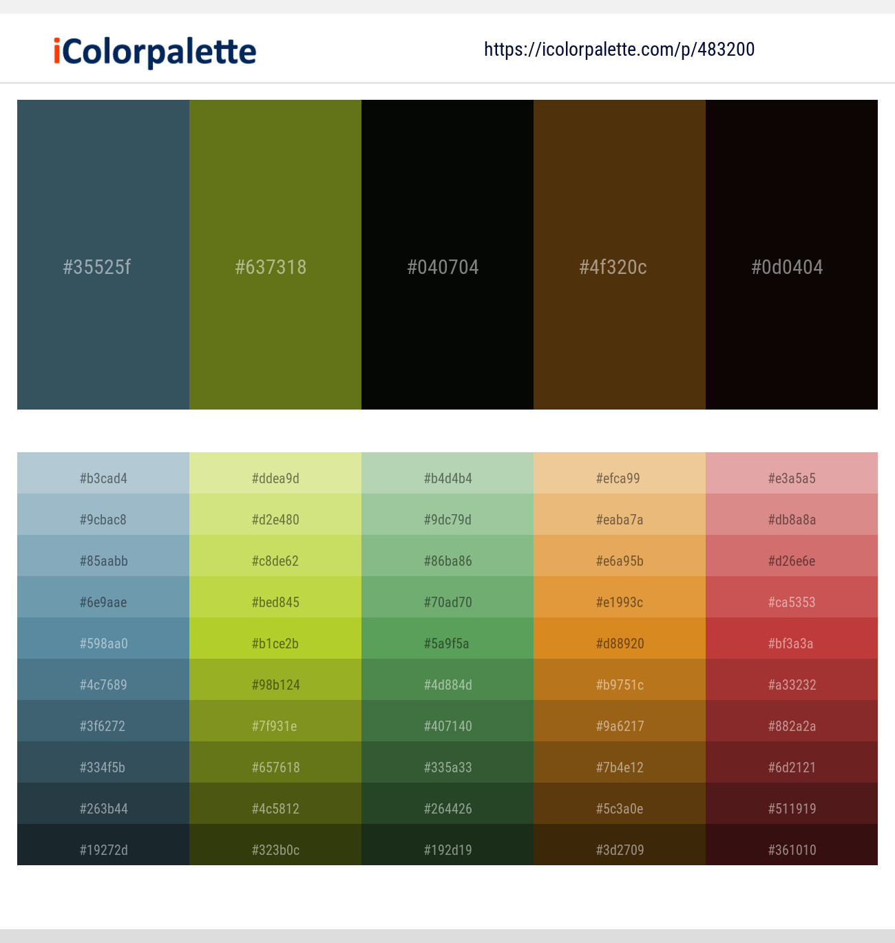 Pickled Bluewood – Fern Frond – Marshland – Cioccolato – Asphalt Color scheme