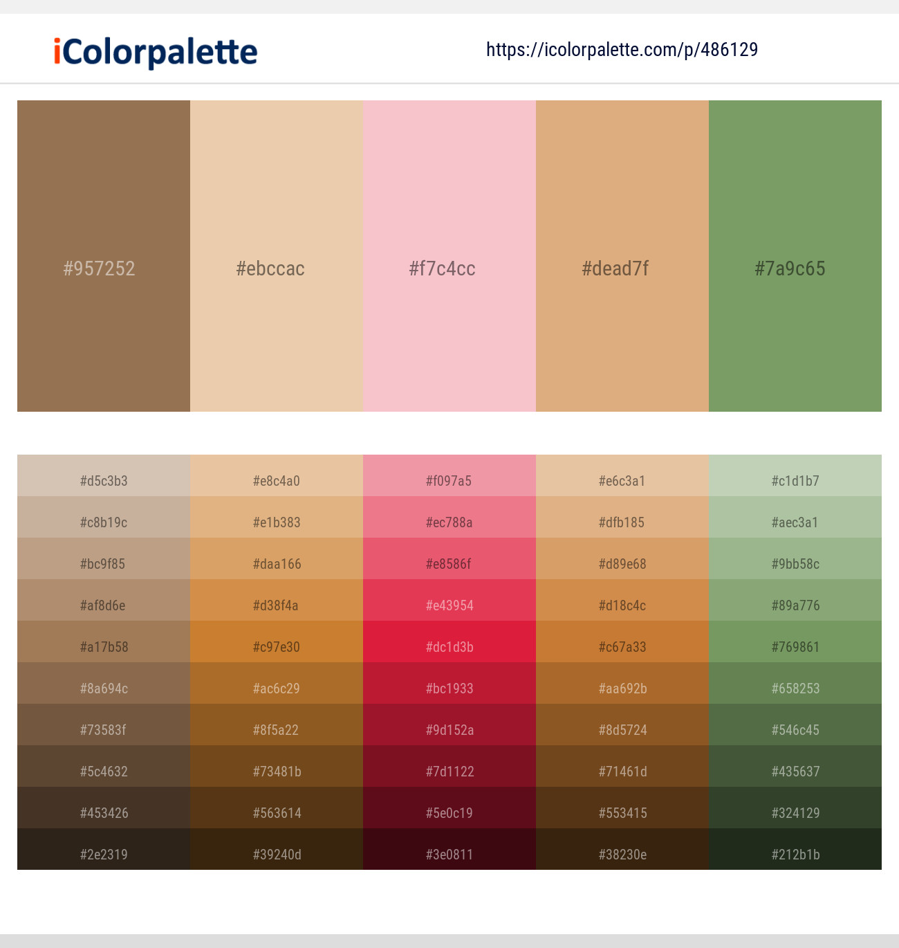 Leather – Desert Sand – Azalea – Tumbleweed – Asparagus Color scheme