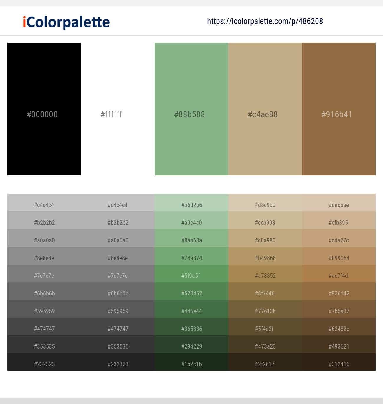 486208Black – White – Bay Leaf – Indian Khaki – Cape Palliser Color scheme