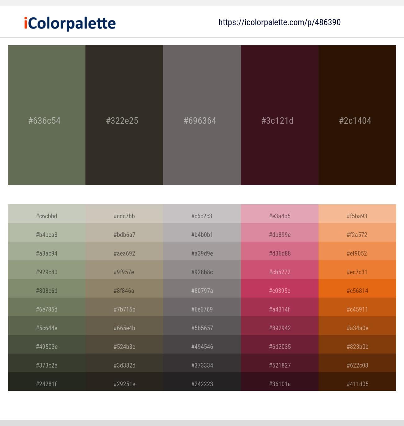 Siam – Birch – Scorpion – Cedar – Jacko Bean Color scheme