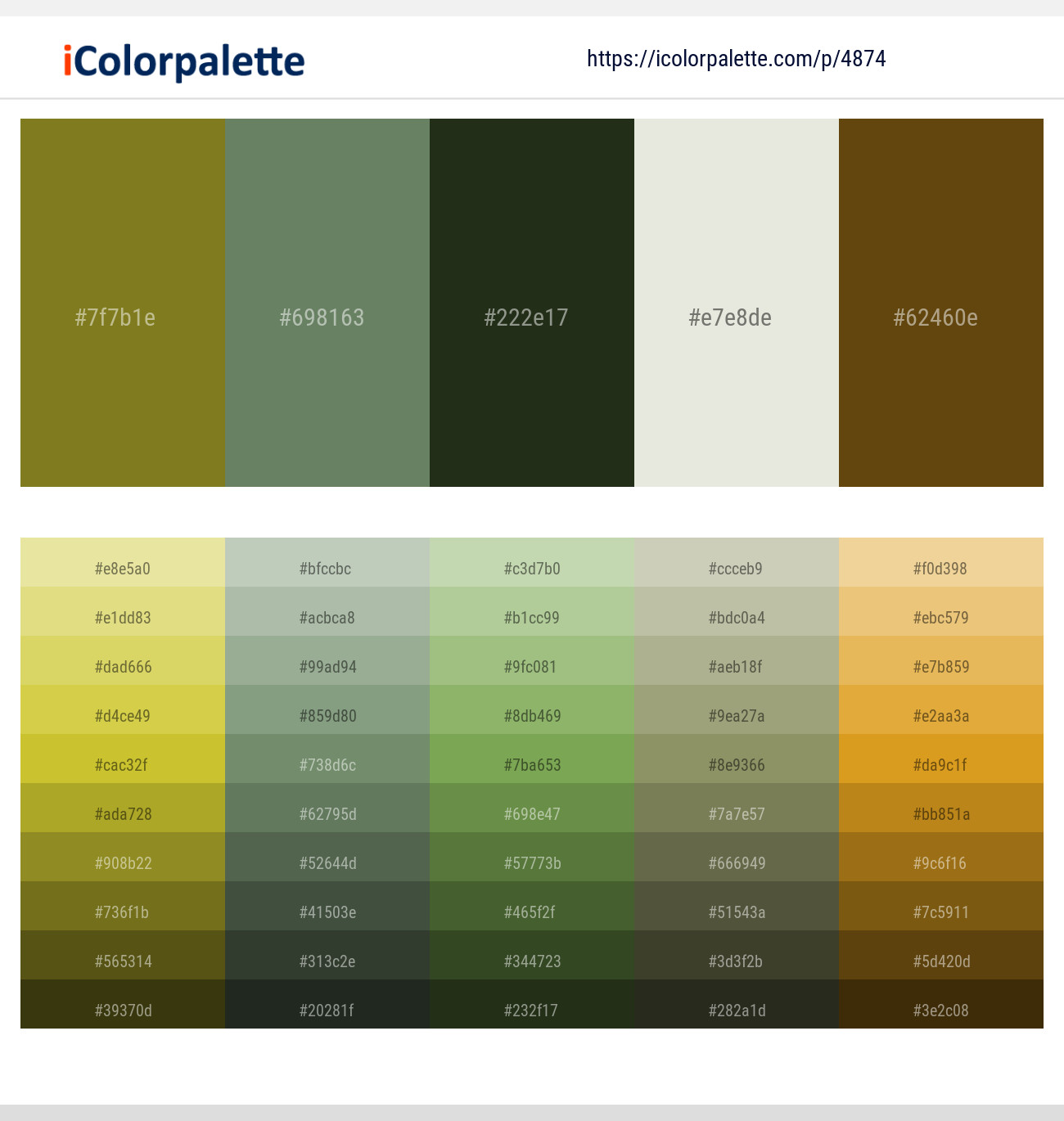 Pacifika – Glade Green – Black Olive – Green White – Raw Umber Color scheme