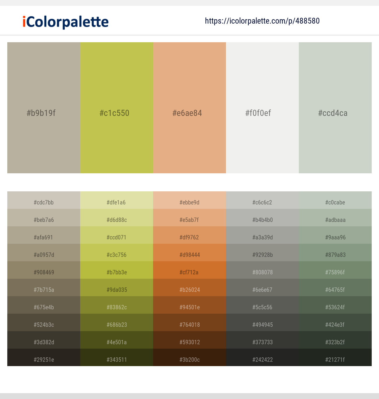 Nomad – Turmeric – Gold Sand – Desert Storm – Tasman Color scheme