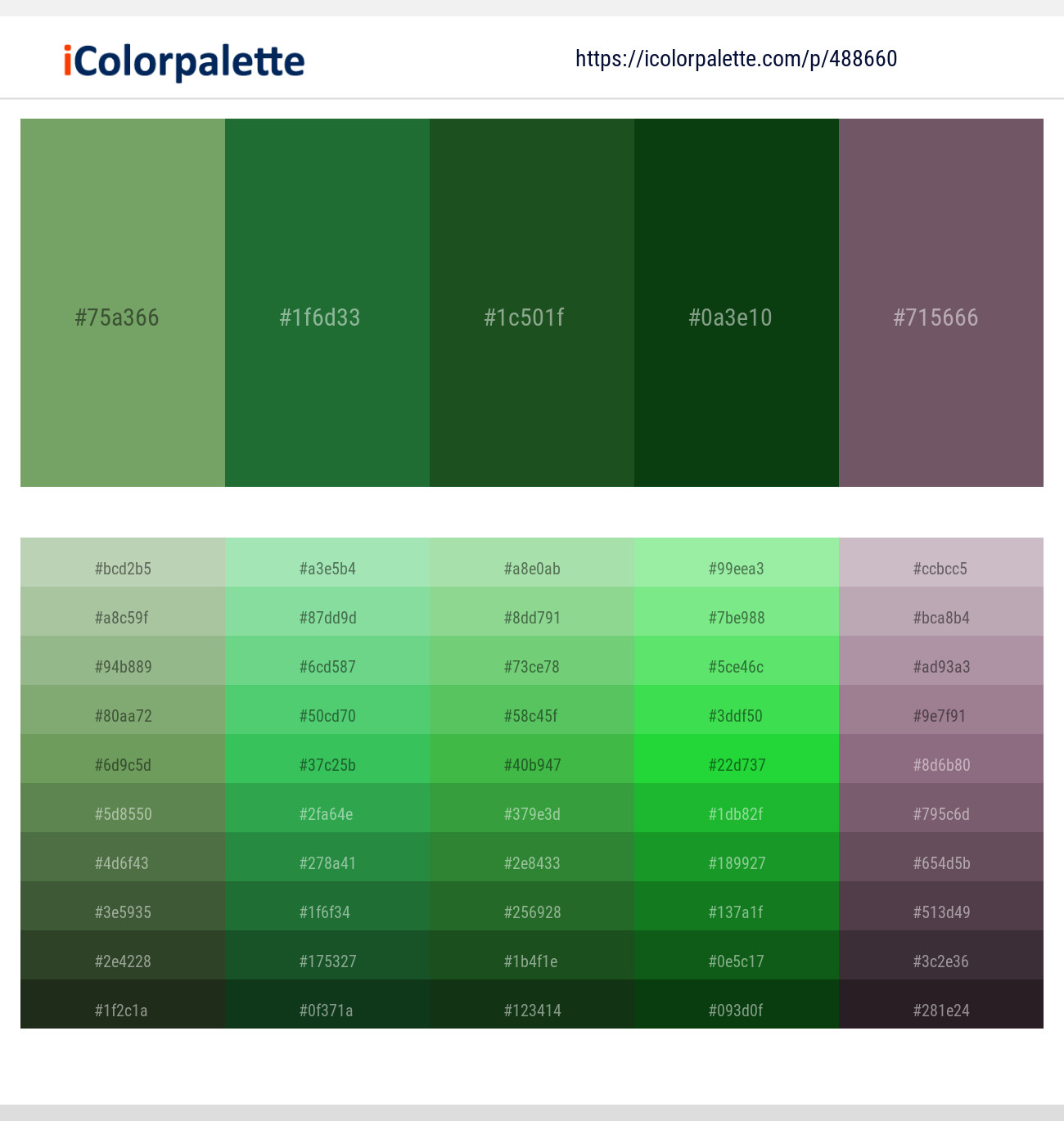 Asparagus – Green Pea – Everglade – Dark Fern – Falcon Color scheme