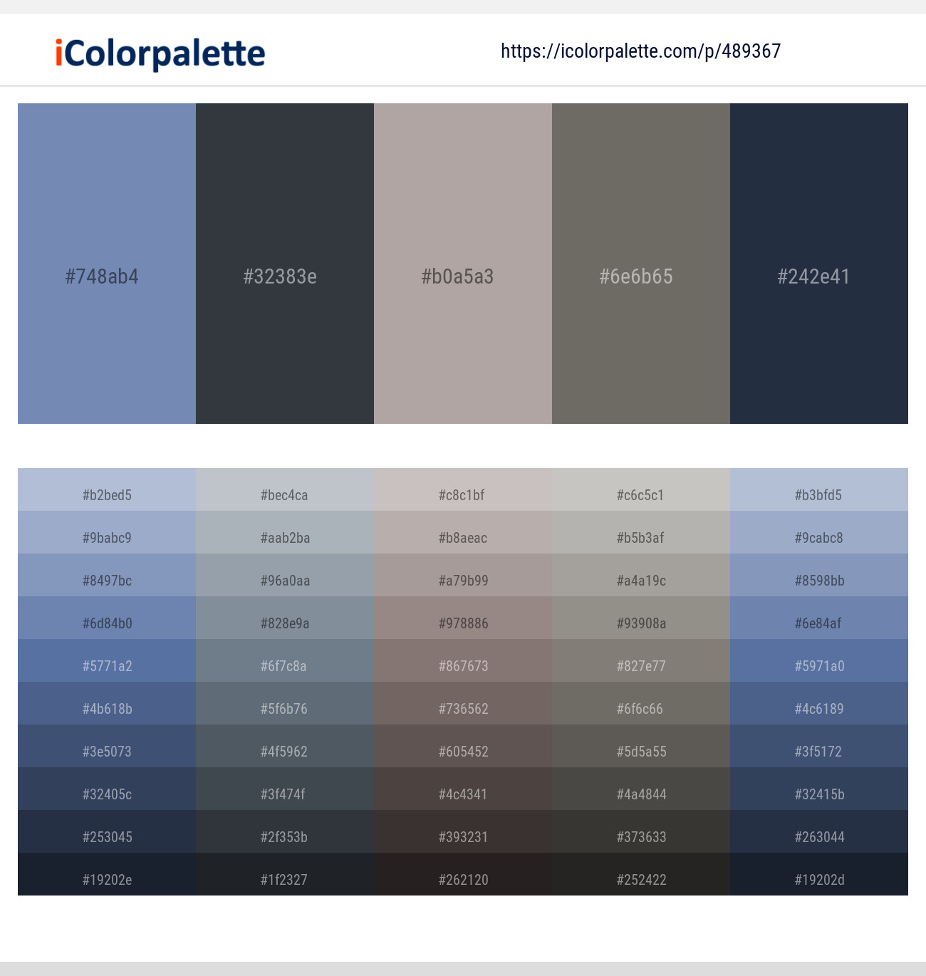 Wild Blue Yonder – Outer Space – Martini – Flint – Ebony Clay Color scheme