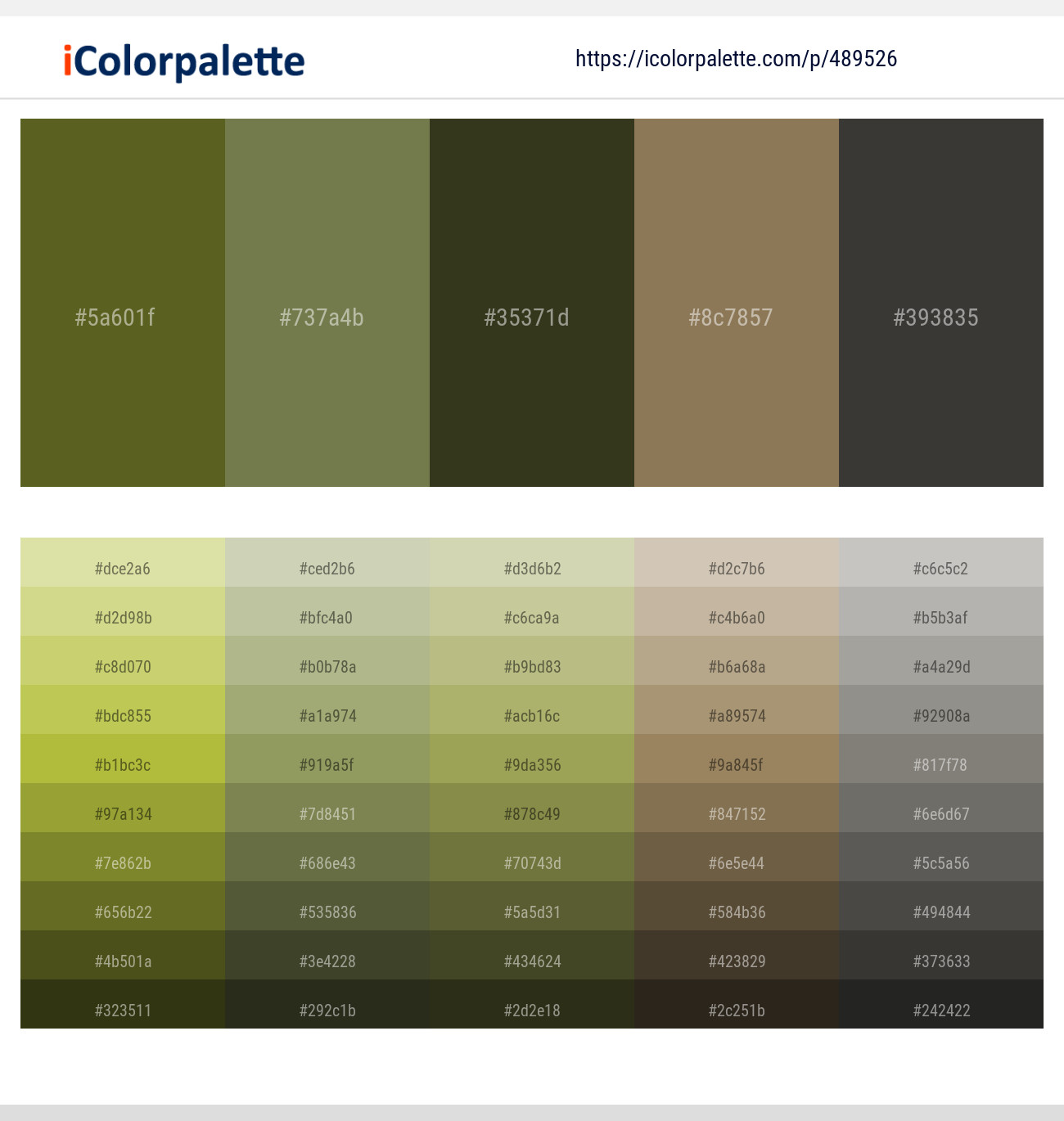 Fern Frond – Go Ben – Lisbon Brown – Domino – Tuatara Color scheme