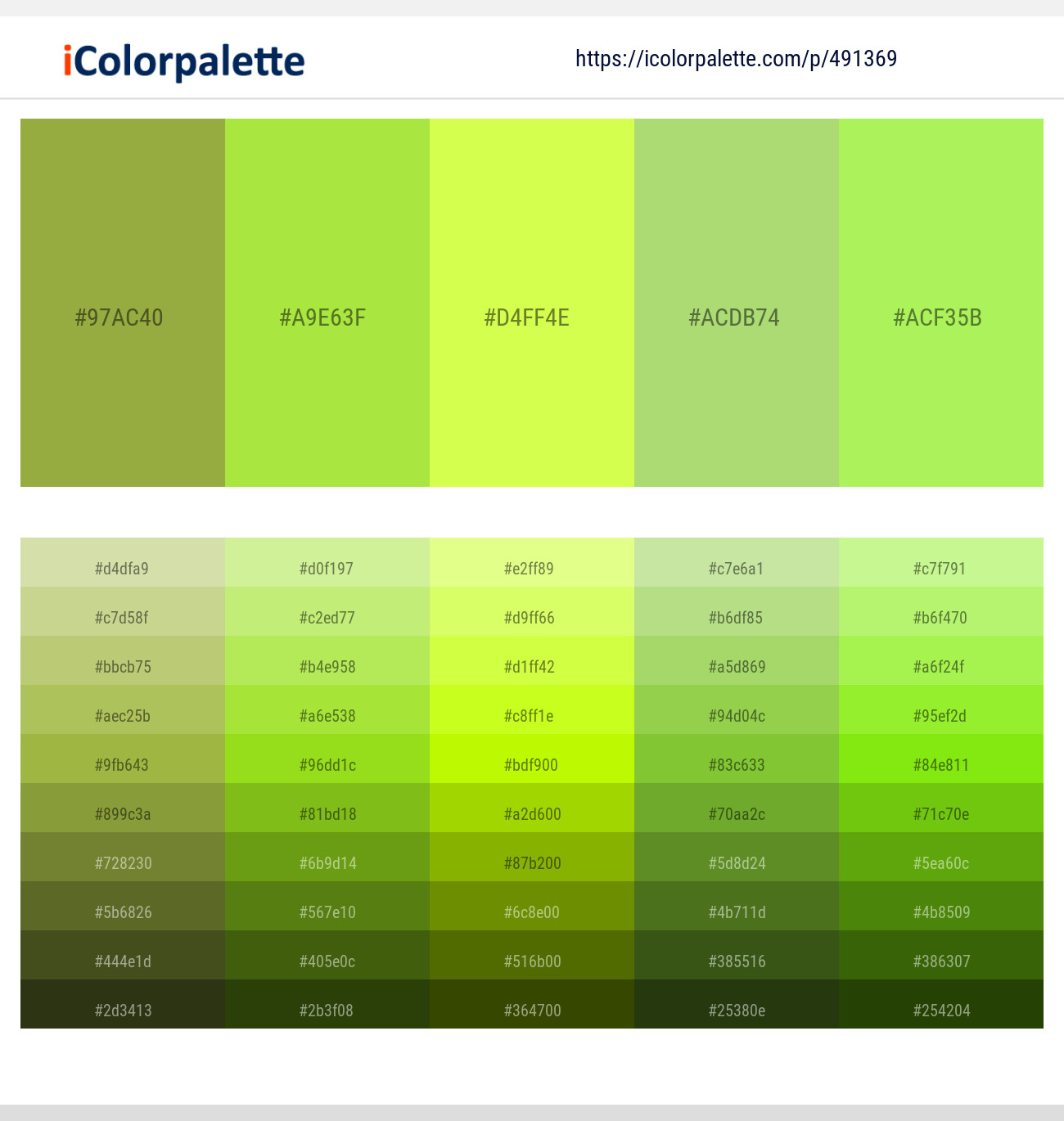 491369 Color Palette 