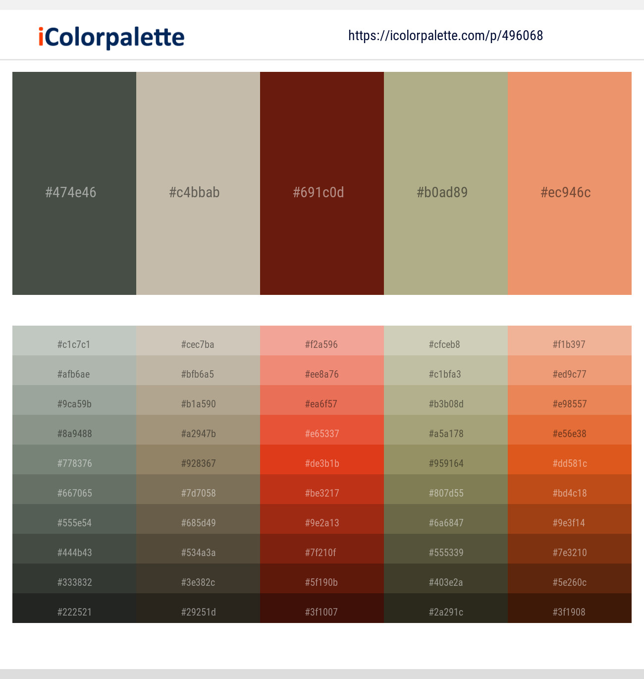Gray Asparagus – Bison Hide – Dark Tan – Hillary – Apricot Color scheme