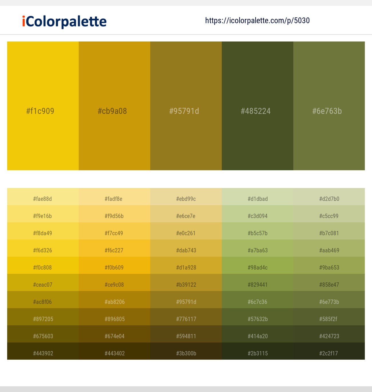 503045 Gold Color Palettes