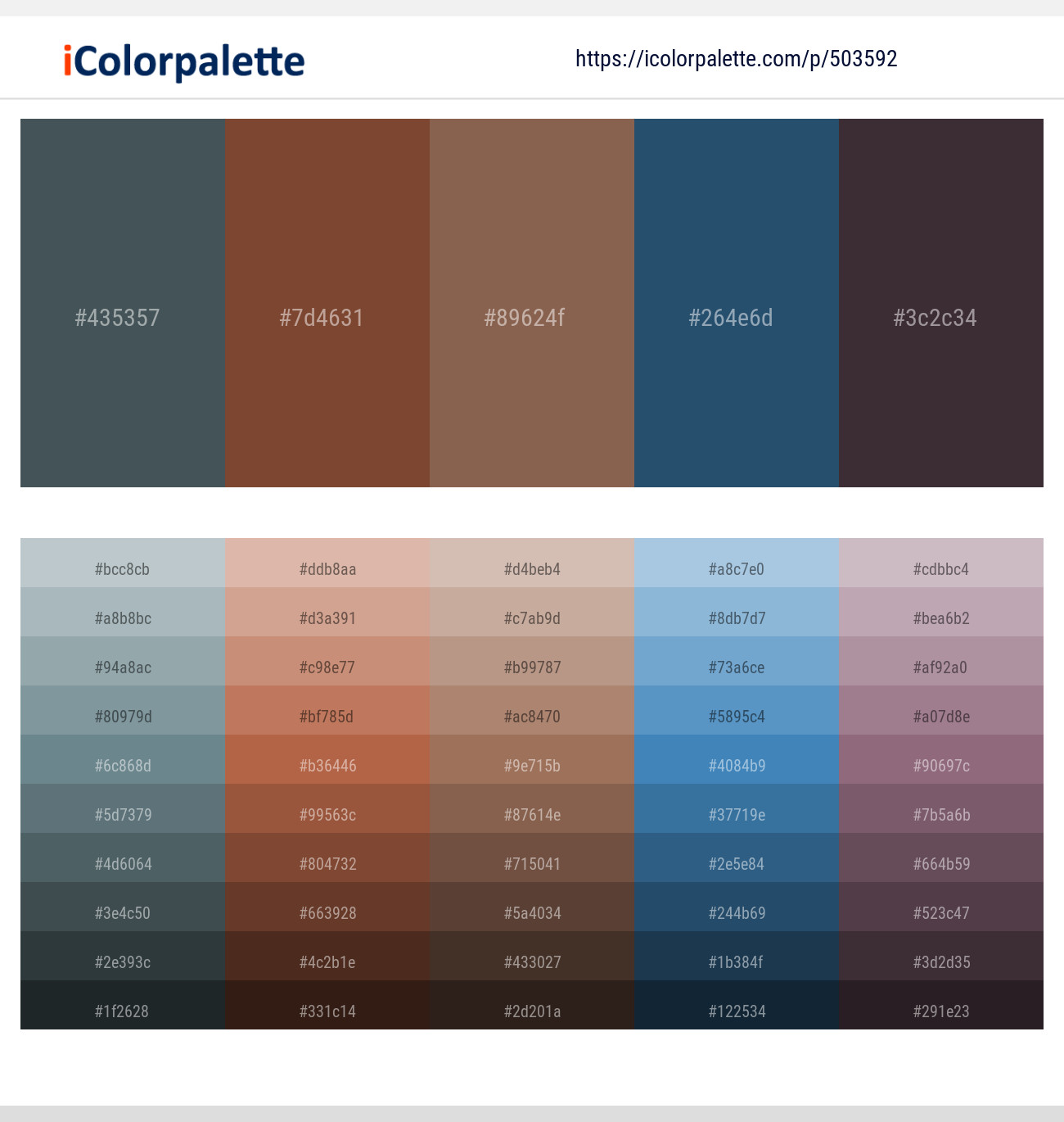 River Bed – Old Copper – Shadow – Astronaut – Thunder Color scheme