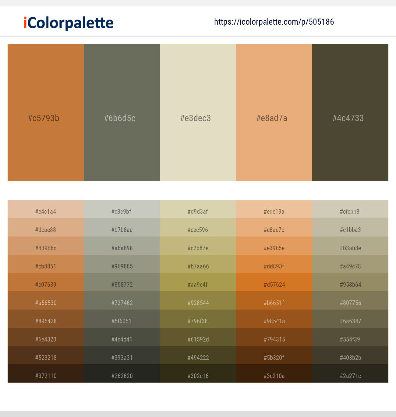 Copper – Kokoda – White Rock – Tacao – Mondo Color scheme