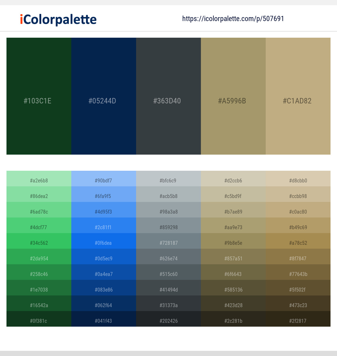 Bush – Blue Whale – Outer Space – Sandal – Indian Khaki Color scheme