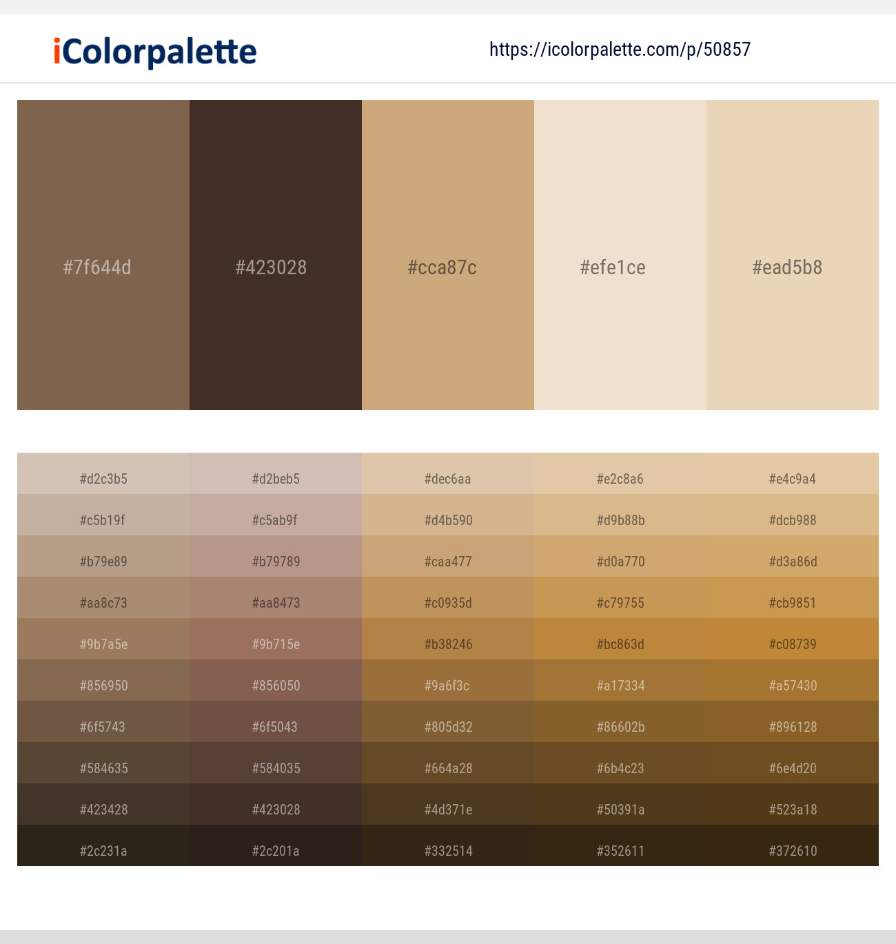 1 Latest Color Schemes with Tan And Parchment Color tone combinations
