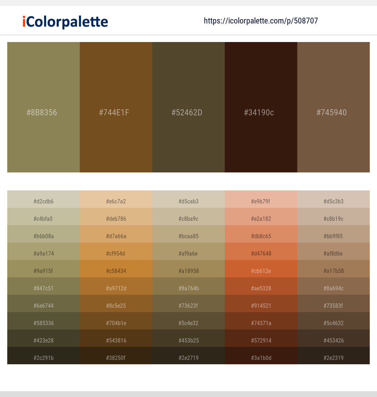 Clay Creek – Himalaya – Millbrook – Paco – Tobacco Brown Color scheme
