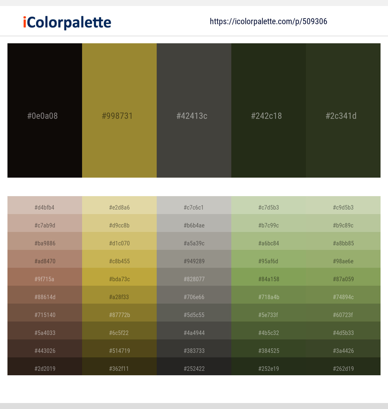 Night Rider – Luxor Gold – Armadillo – Green Kelp – Green Kelp Color scheme